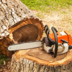 How We Safely Remove Large Trees from Small Spaces?