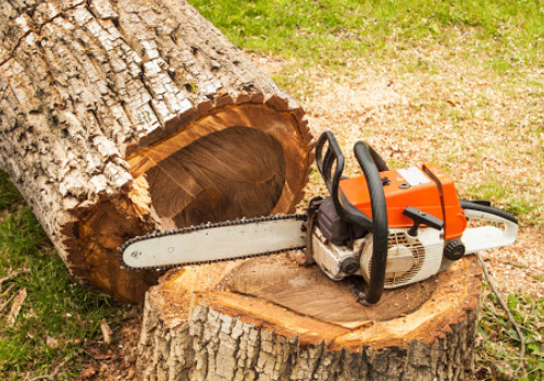 How We Safely Remove Large Trees from Small Spaces?