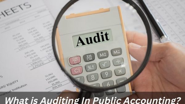 Image presents What is Auditing In Public Accounting?