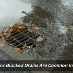 Image presents 6 Reasons Blocked Drains Are Common In Sydney