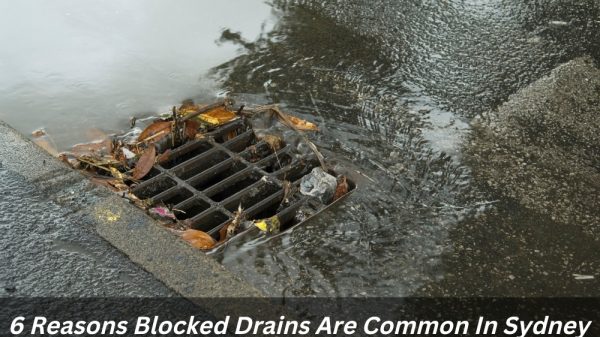 Image presents 6 Reasons Blocked Drains Are Common In Sydney
