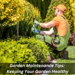 Image presents Garden Maintenance Tips Keeping Your Garden Healthy