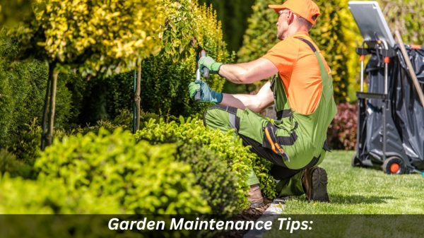 Image presents Garden Maintenance Tips Keeping Your Garden Healthy