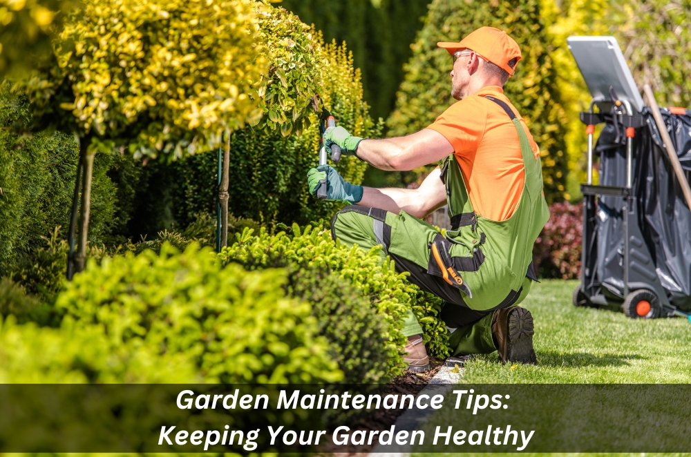 Image presents Garden Maintenance Tips Keeping Your Garden Healthy