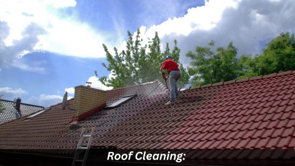 Image presents Roof Cleaning Chemical Vs. Pressure Washing Methods