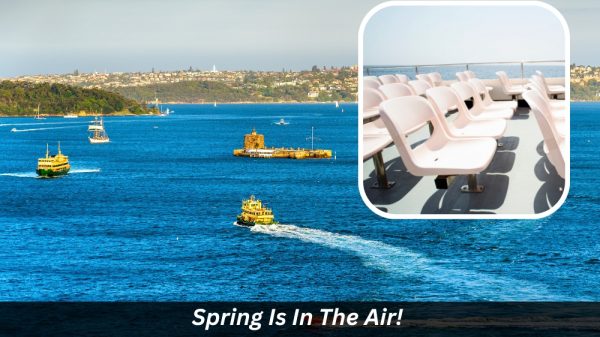 Image presents Spring Is In The Air! Prepare Your Boat Seats For Warmer Weather