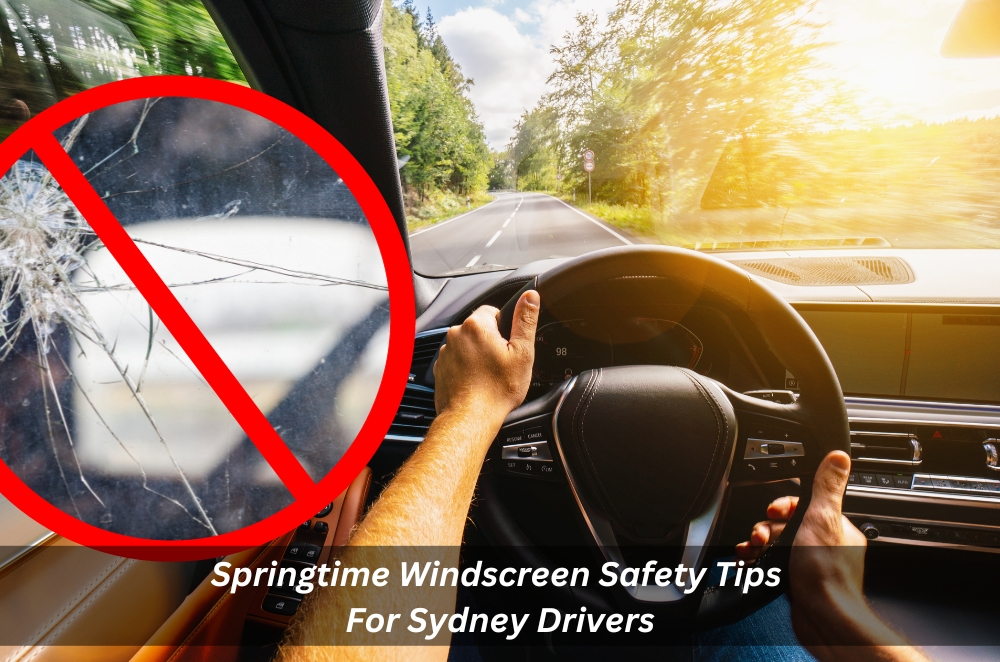 Image presents Springtime Windscreen Safety Tips For Sydney Drivers